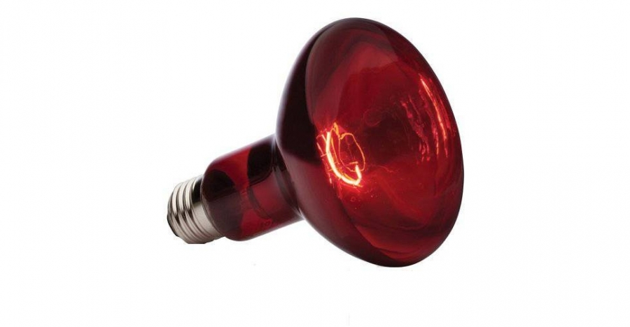 Лампа ИКЗК 220-250 красная